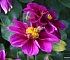 _MG_0670 (2)