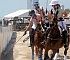 2013BeachPolo002