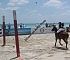 2013BeachPolo012