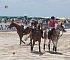 2013BeachPolo011