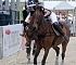 2013BeachPolo019