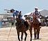 2013BeachPolo021