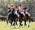 2011GayPolo002