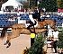 Equestrian0008