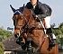 Equestrian0090