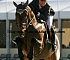 Equestrian0006