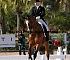 Dressage0004