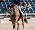 Dressage0010