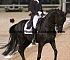 Dressage0015