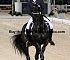 Dressage0014