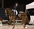 Dressage0019