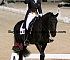 Dressage0017