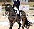 Dressage0035