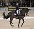 Dressage0034