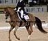 Dressage0038