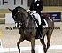 Dressage0045