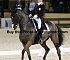 Dressage0042