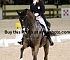 Dressage0043