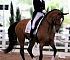 Dressage0049