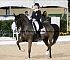 Dressage0046