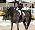 Dressage0047