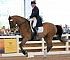 Dressage0050