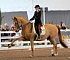 Dressage0051