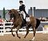 Dressage0054