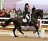 Dressage0059