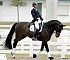 Dressage0056