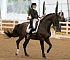 Dressage0057