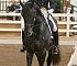 Dressage0058