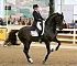 Dressage0060