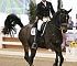 Dressage0065