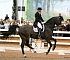 Dressage0063