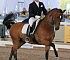 Dressage0069