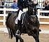 Dressage0066