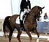 Dressage0068