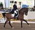 Dressage0071