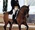 Dressage0072