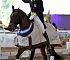 Dressage0076