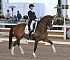 Dressage0077