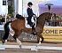 Dressage0078