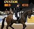 Dressage0086