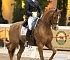 Dressage0095