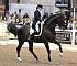 Dressage0093