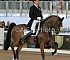 dressage105