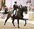 Dressage0102