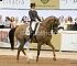 dressage117