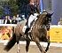 dressage126